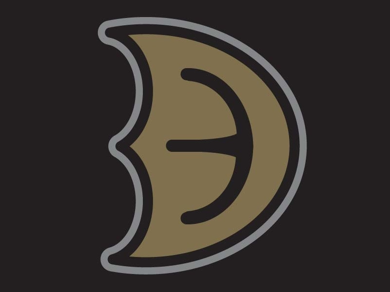 800x600 Basic Nhl Logo