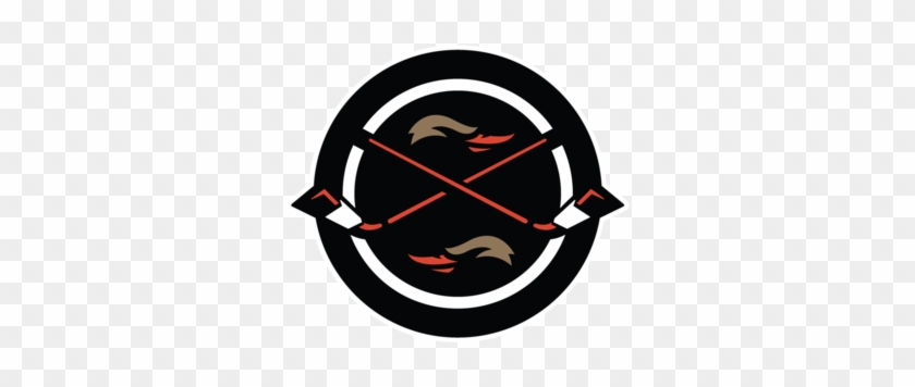 840x356 Anaheim Ducks