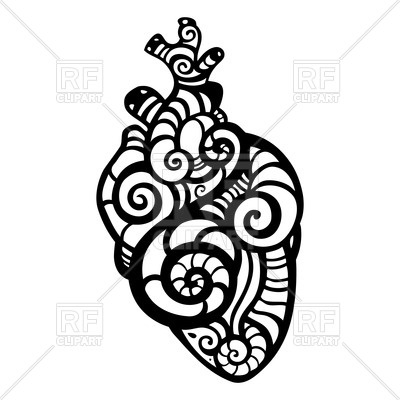 400x400 Ornamental Anatomical Heart Vector Image Of Design Elements