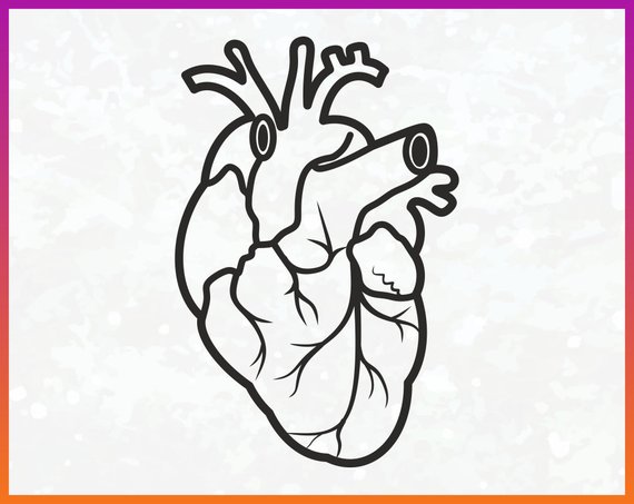 570x453 Pin On Faith