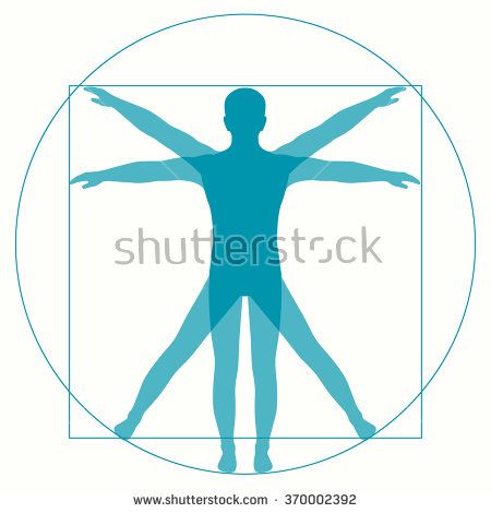 450x470 Leonardo Da Vinci Vetruvian Man, Human Anatomy