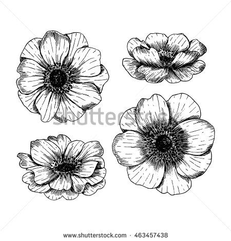 Anemone Flowers Vintage Vector Anemone Flowers Collection 450x470 Anemone Flowers Vintage Vector Anemone Flowers Collection