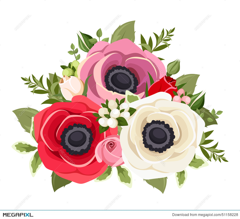 Bouquet Of Colorful Anemone Flowers Vector Illustration 800x730 Bouquet Of Colorful Anemone Flowers Vector Illustration