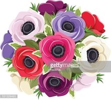 Bouquet Of Colorful Anemone Vector Stock Vectors 221x199 Bouquet Of Colorful Anemone Vector Stock Vectors