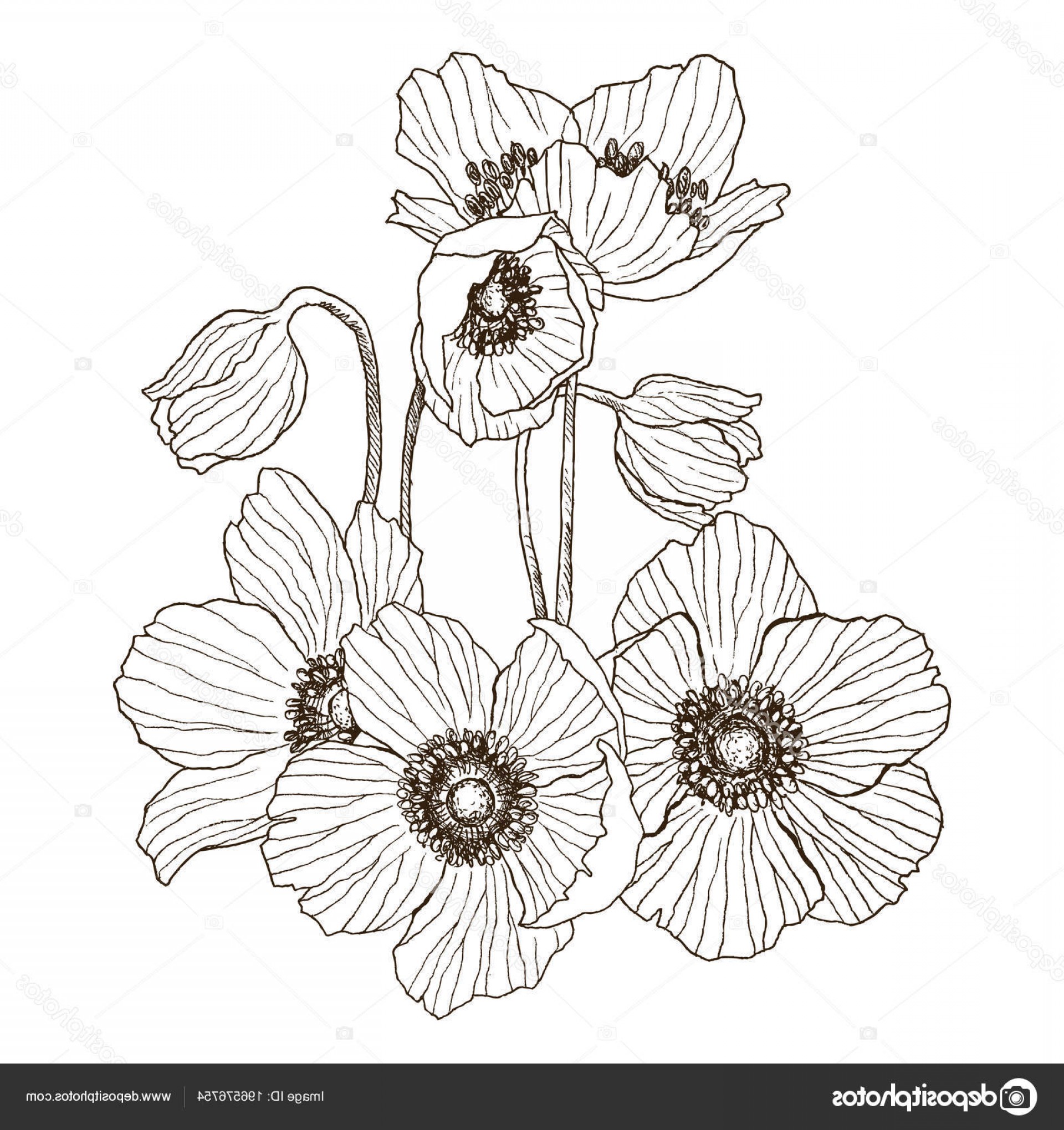 Detailed Illustrator Vectors Hoodamathrun 1920x2040 Detailed Illustrator Vectors Hoodamathrun