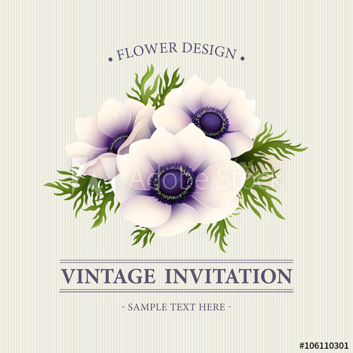 Greeting Card With Anemone Flower Vector Illustration 500x500 Greeting Card With Anemone Flower Vector Illustration