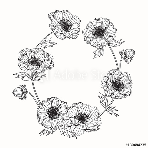 Hand Drawing Flowers Anemone Flower Vector Illustration And Clip 500x500 Hand Drawing Flowers Anemone Flower Vector Illustration And Clip