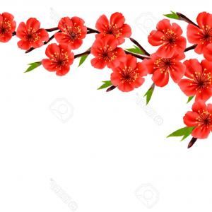 Photostock Vector Anemone Flowers Card Vector Red Flower Spring 300x300 Photostock Vector Anemone Flowers Card Vector Red Flower Spring
