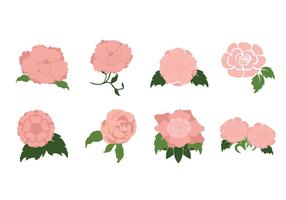 Anemone Free Vector Art 286x200 Anemone Free Vector Art