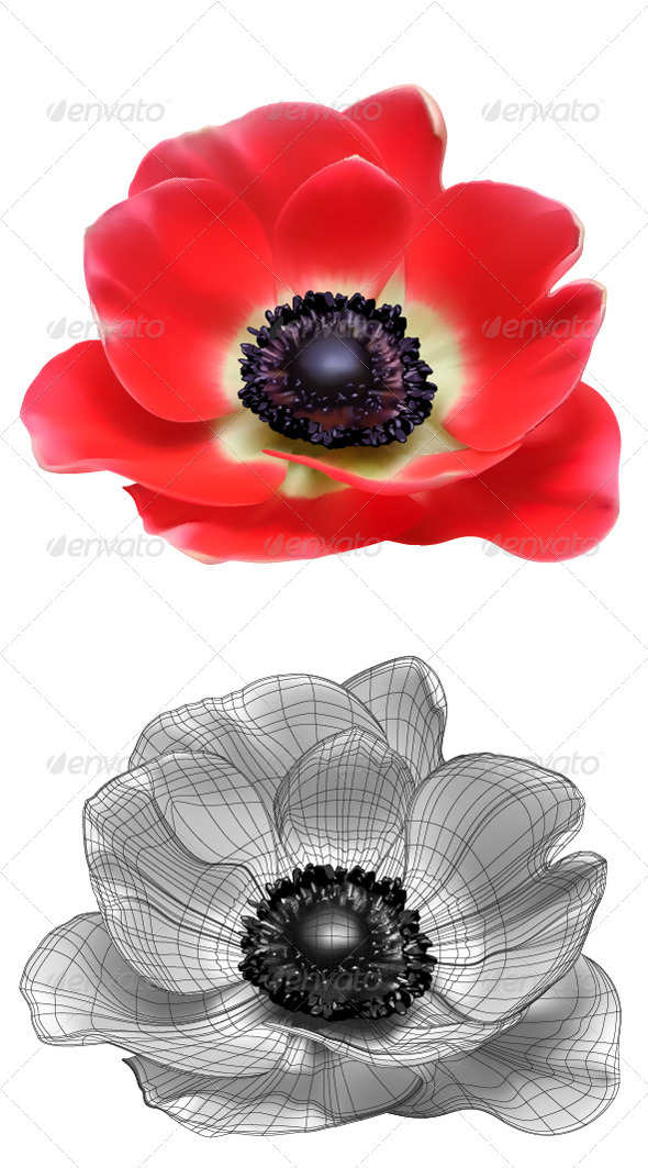 Anemone Graphics, Designs Templates From Graphicriver 590x1063 Anemone Graphics, Designs Templates From Graphicriver