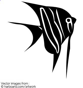 335x355 Download Angelfish