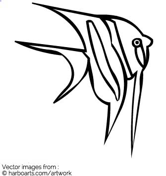 335x355 Download Angelfish Outline