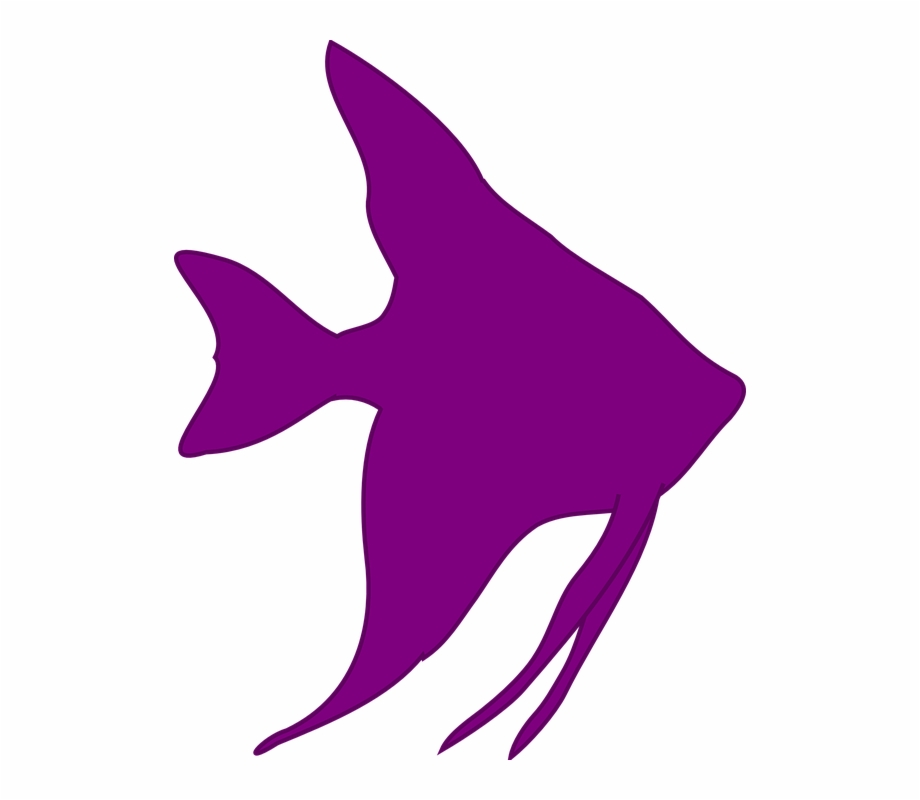 920x800 Free Vector Graphic