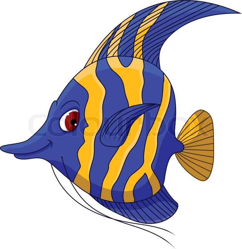 777x800 Vector Illustration Of Cute Angel Fish Stock Vector Colourbox