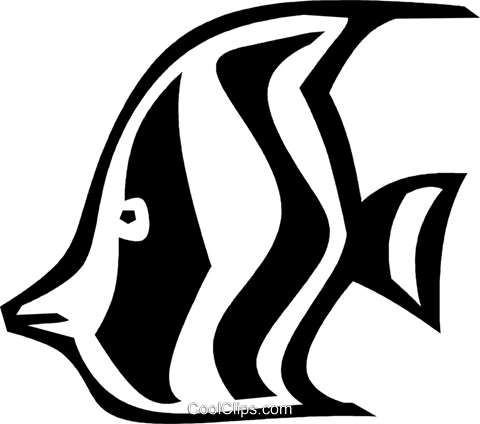 480x424 Angel Fish Royalty Free Vector Clip Art Illustration
