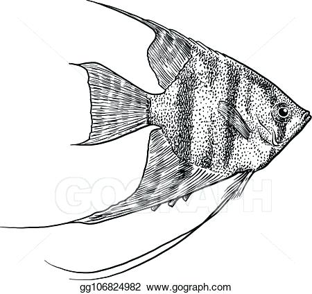 450x424 Angel Fish Drawing