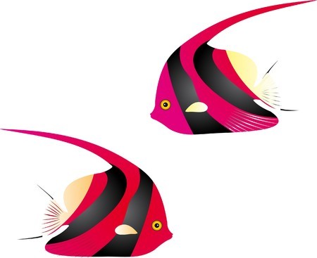 450x367 Angelfish Vectorgraphics About Angelfish