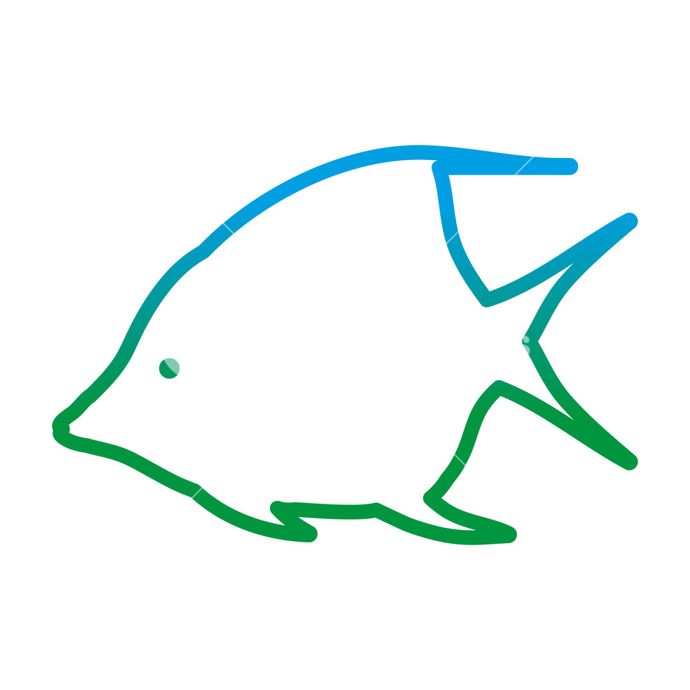 1000x1000 Degraded Line Tropical Angel Fish Nature Animal Vector