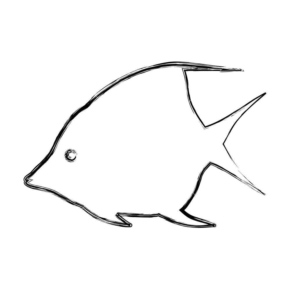 1000x1000 Grunge Tropical Angel Fish Nature Animal Vector Illustration