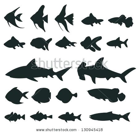 450x429 How To Draw A Angel Fish