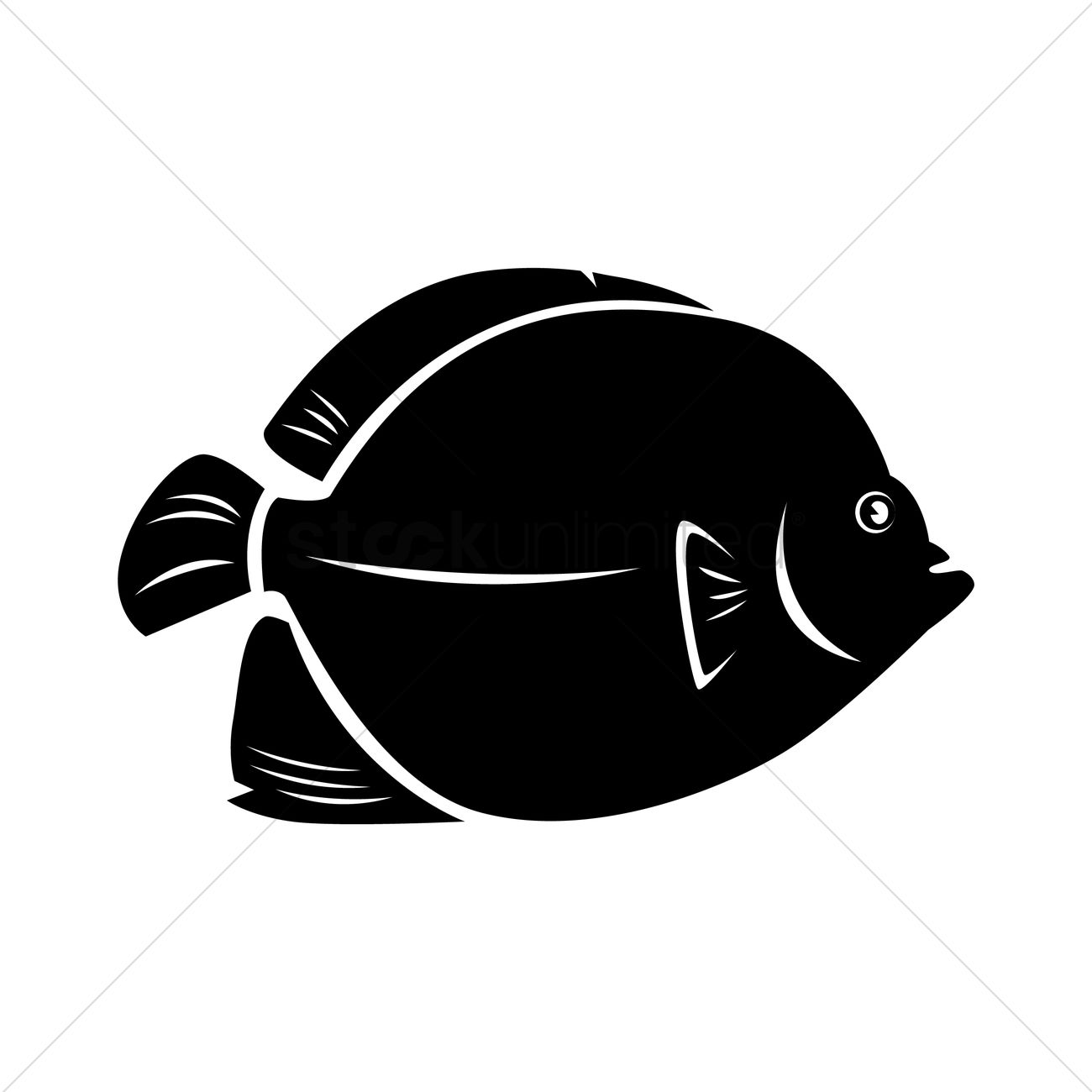1300x1300 Angel Fish Vector Image