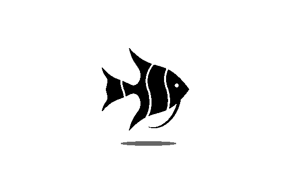 580x386 Angelfish Vector Icon Graphic