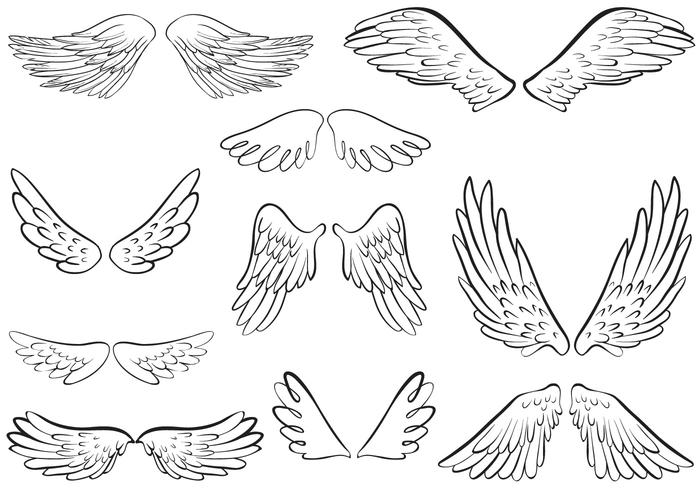 700x490 Wings Free Vector Art