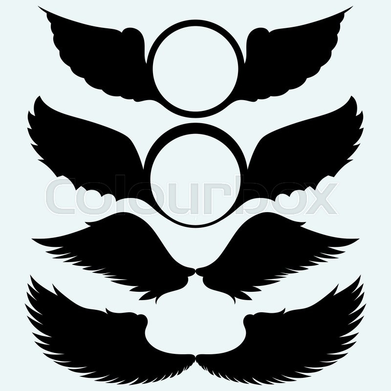 800x800 Angel Wings And Shield With Wings Stock Vector Colourbox
