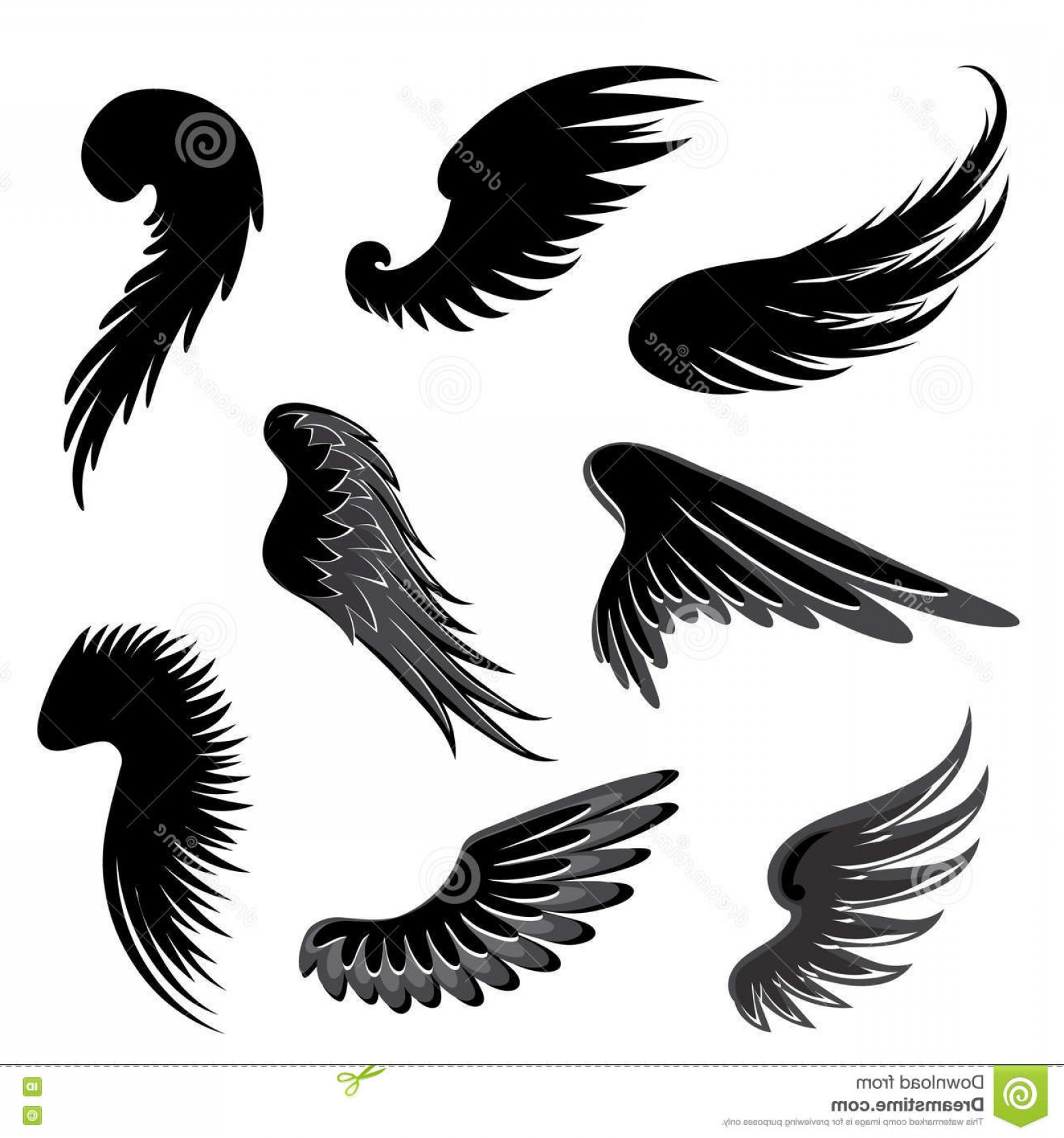 1560x1668 Eagle Wing Feather Vector Lamaison