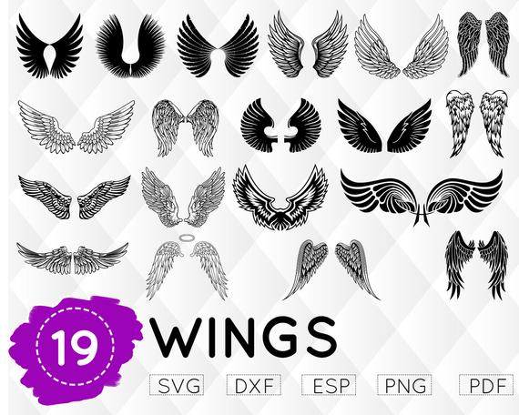 Download Angel Wings Silhouette Vector at Vectorified.com ...