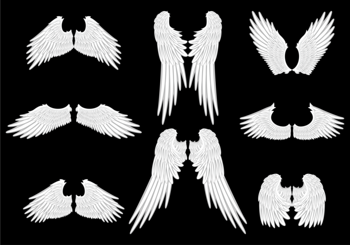 700x490 Angel Wings Vector