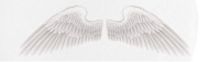 Angel Wings Angelic Wings Vector Small Buttons Spreadshirt 190x57 Angel Wings Angelic Wings Vector Small Buttons Spreadshirt