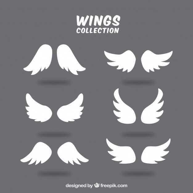 Angel Wings Vectors, Photos And Free Download 626x626 Angel Wings Vectors, Photos And Free Download