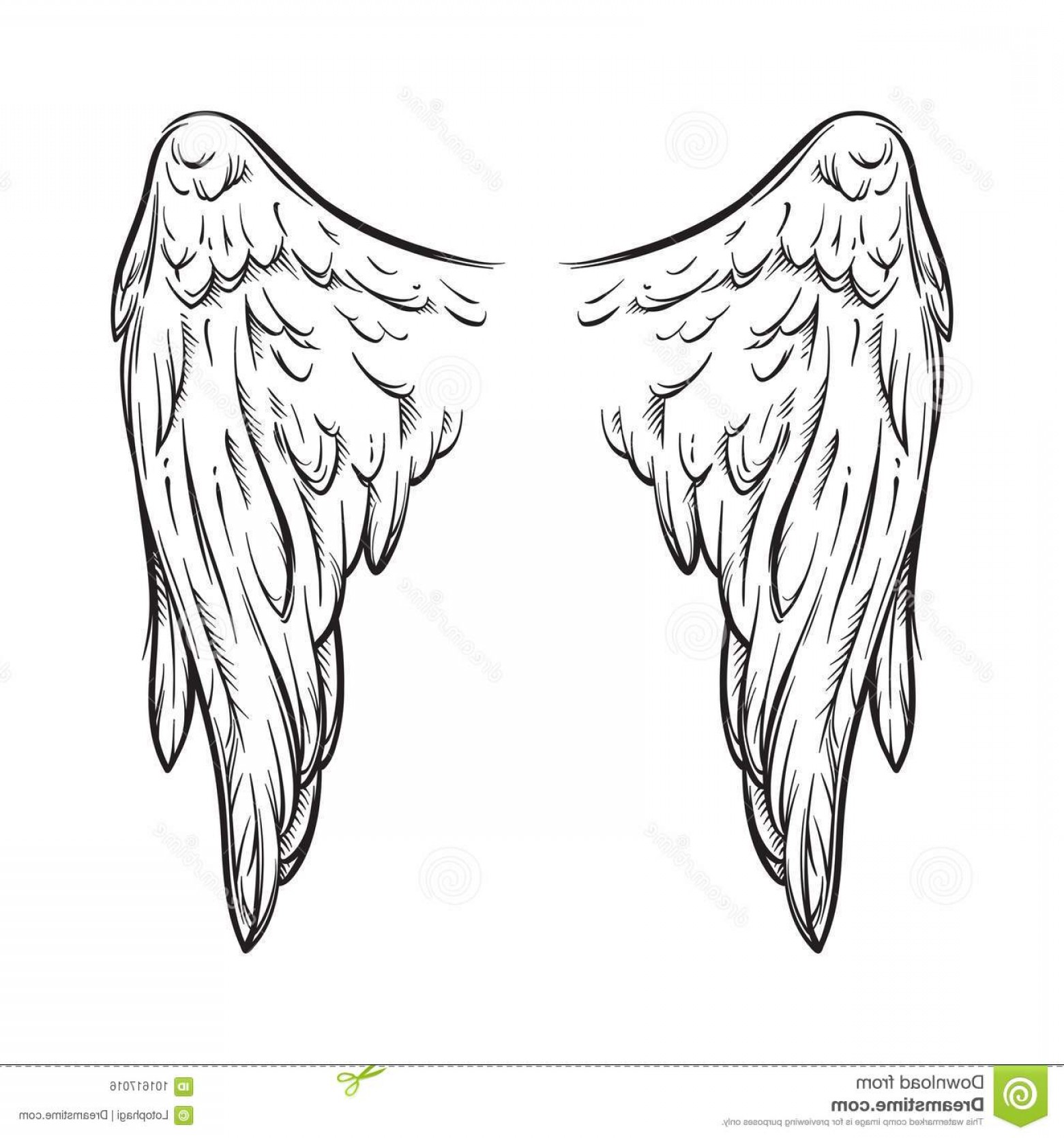1560x1668 Angel Wings Isolated White Background Hand Drawn Vector