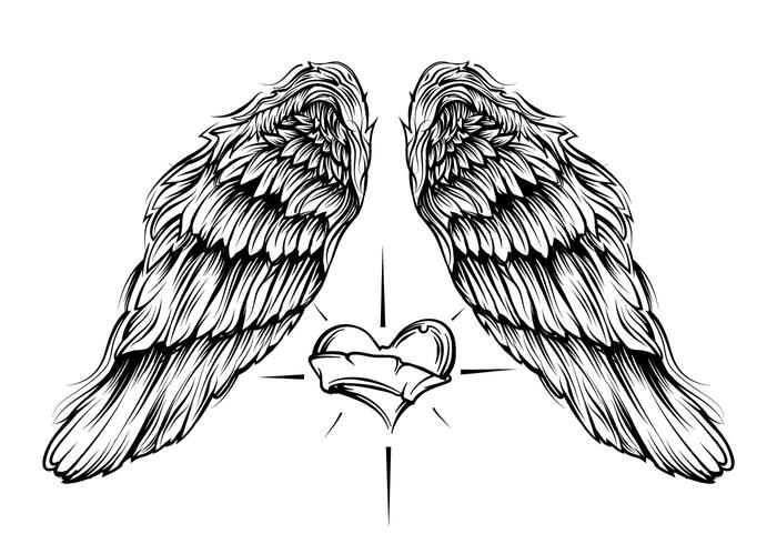 700x490 Angel Wings With Heart Vector