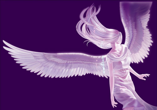 500x351 Angel Wings Vector Free Vector In Adobe Illustrator