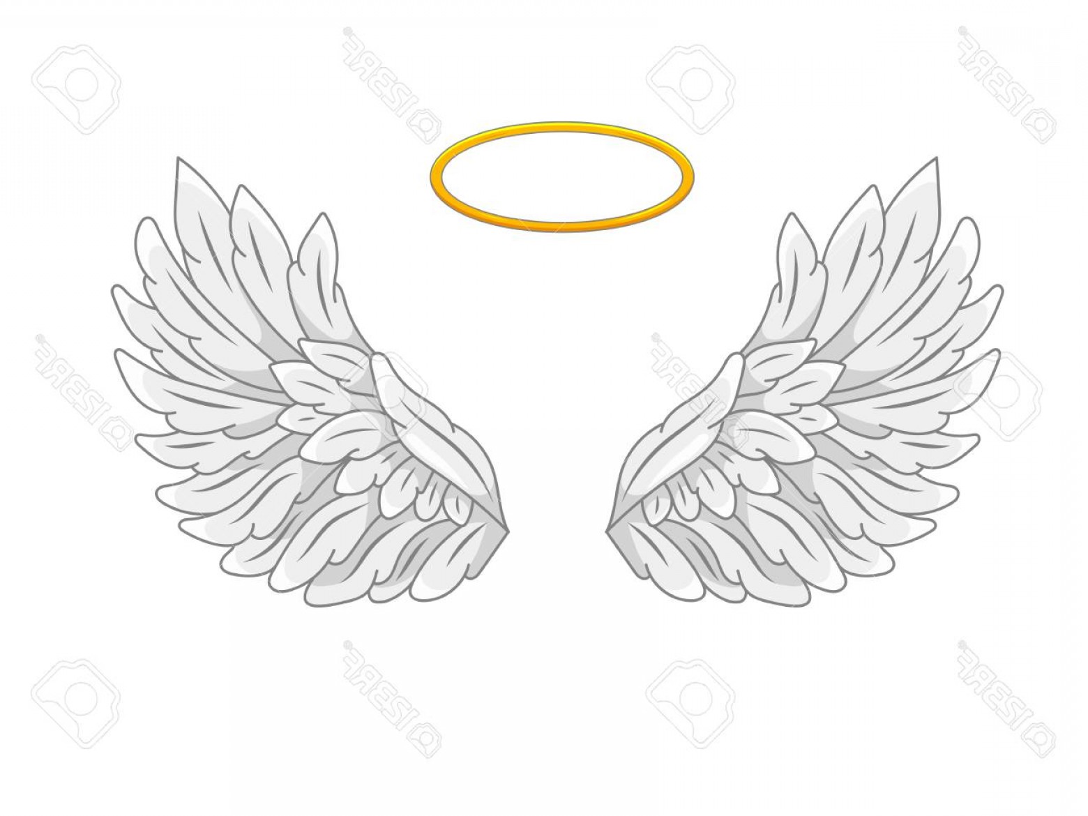 1560x1170 Photostock Vector A Pair Of Wide Spread Angel Wings With Golden