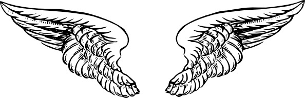 594x191 Realistic Angel Wings Vector Free Vector Download