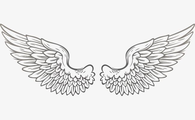 650x400 Vector Wings, Vector, Fly, Wing Png And Vector With Transparent