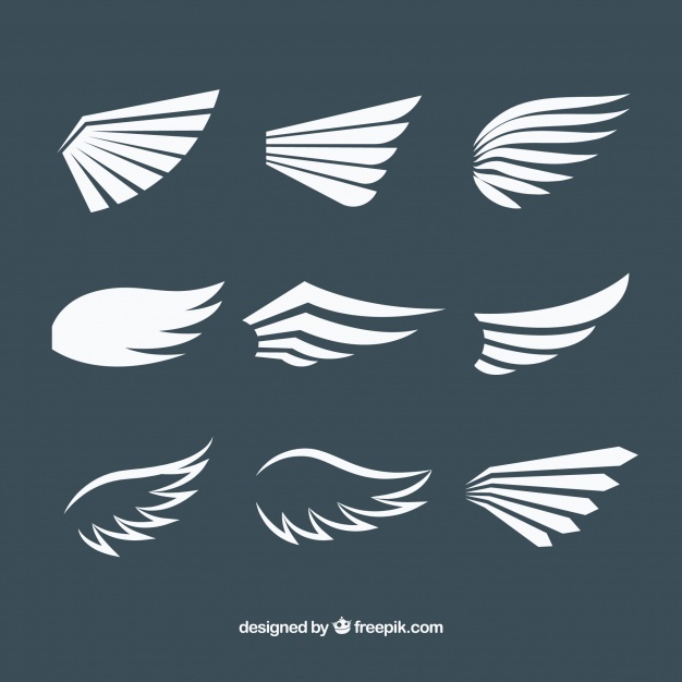 626x626 Wings Vectors, Photos And Free Download