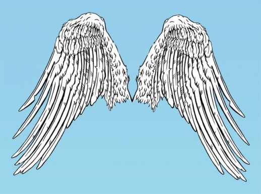 518x385 Angel Wings Vector