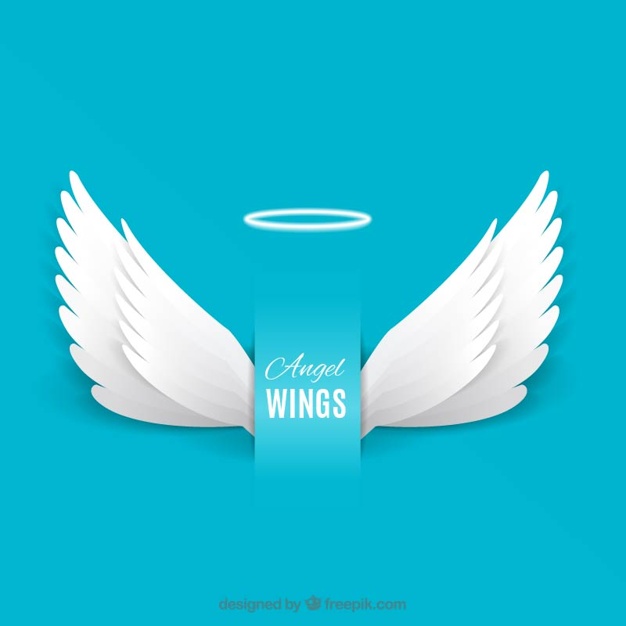 626x626 Angel Wings Vector Free Download