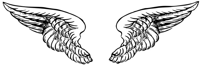 698x230 Angel Wings Free Angel Wing Clip Art Free Vector For Free Download