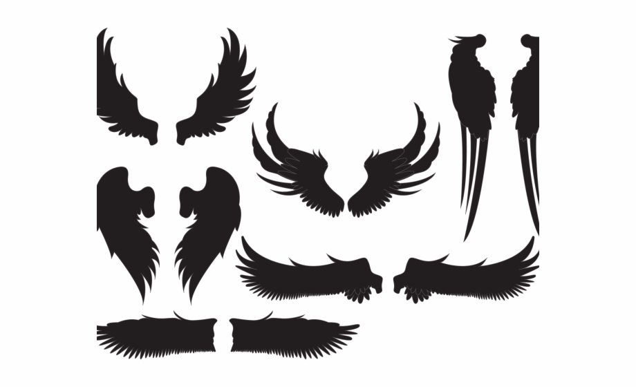 920x560 Bullet Clipart Wing