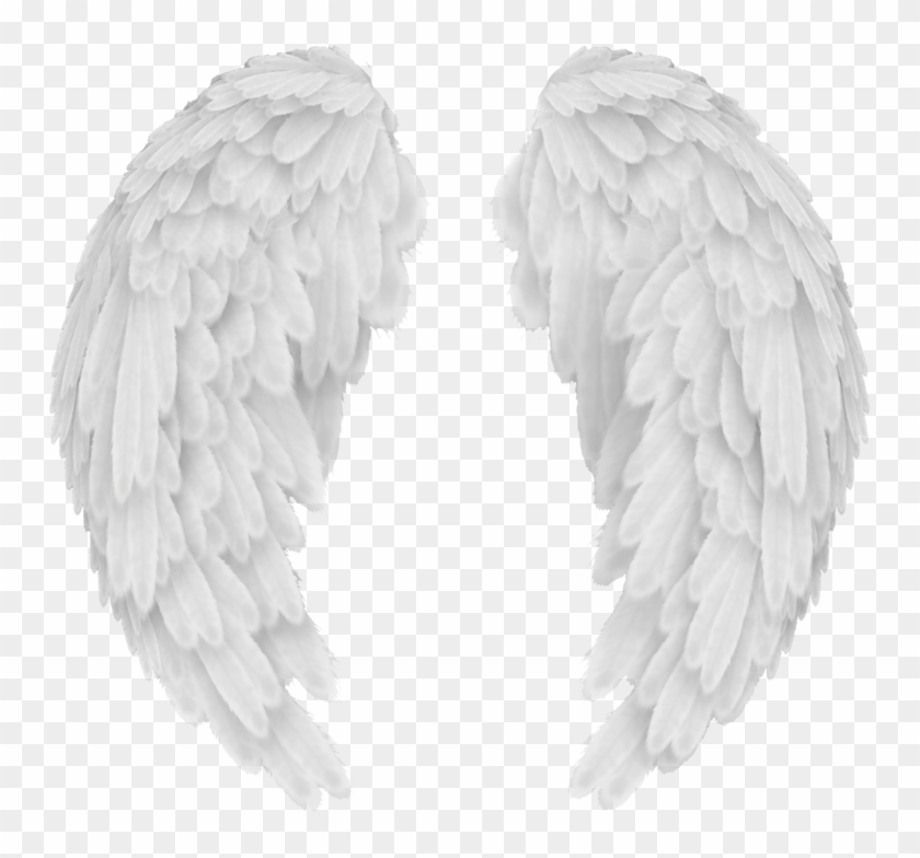 Angel Wings Vector Png at Vectorified.com | Collection of Angel Wings ...