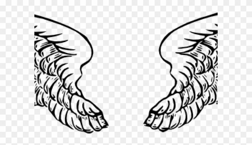 880x506 Wings Clipart Vector