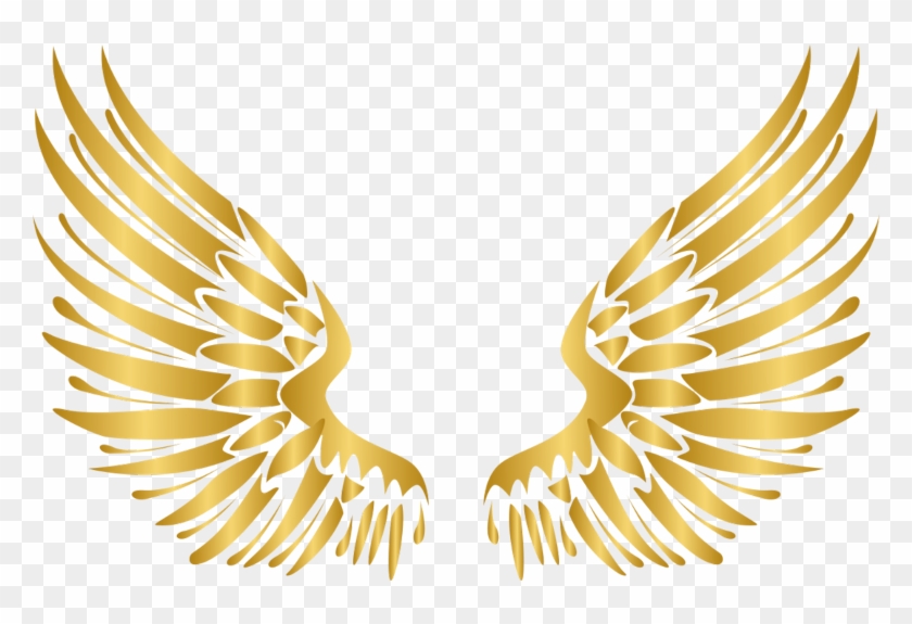 840x575 Wings Gold Wing Angel Angels Angelwings Angelwing Golde