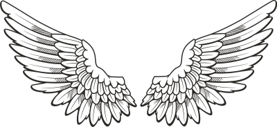 400x184 Wings Png