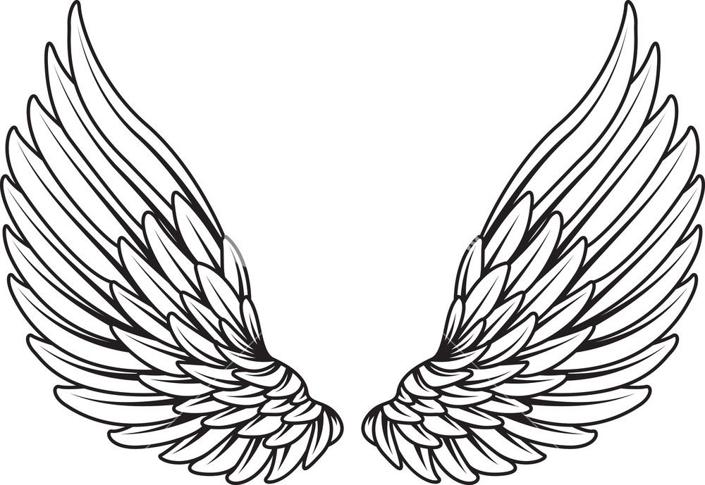 Angel Wings Vector Png at Vectorified.com | Collection of Angel Wings