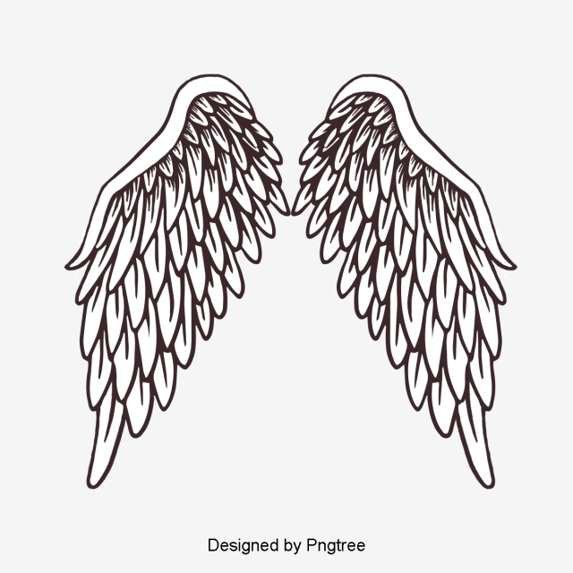 640x640 Angel Wings Png Images Vector And Free Download